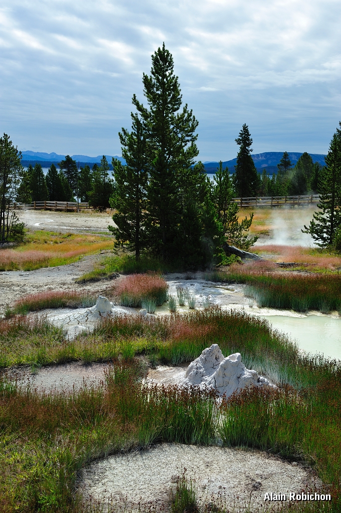 _DSC8146.jpg