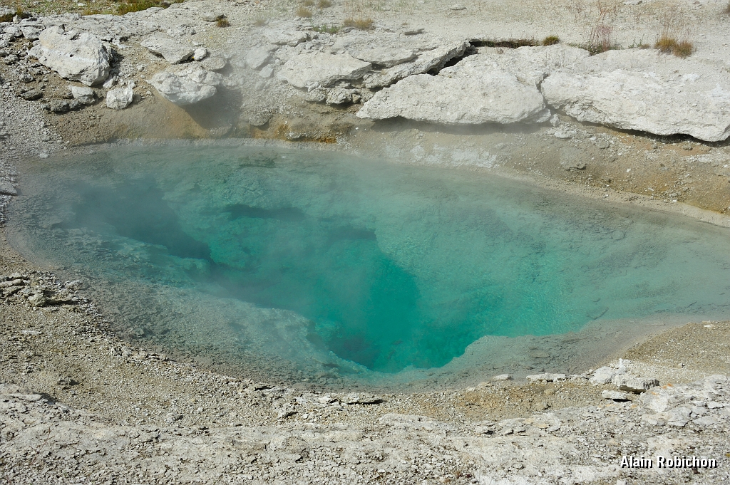 _DSC8147.jpg