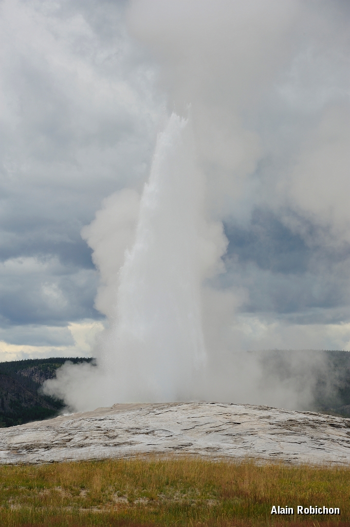 _DSC8183.jpg