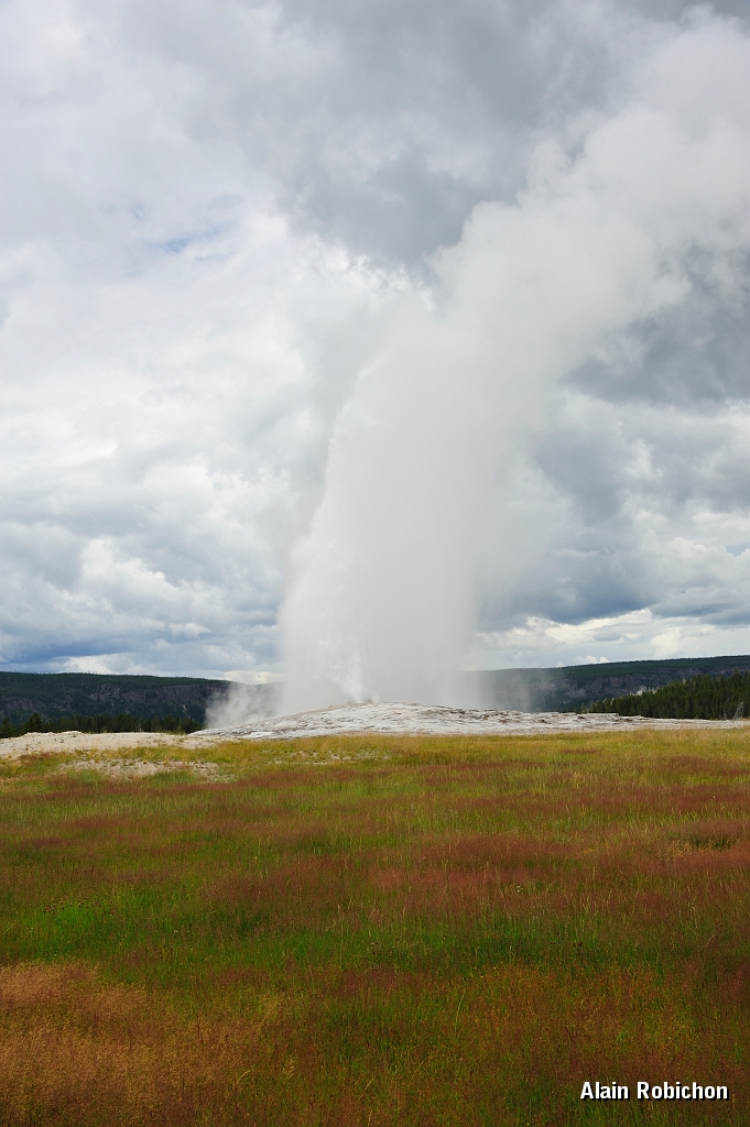 _DSC8191.jpg