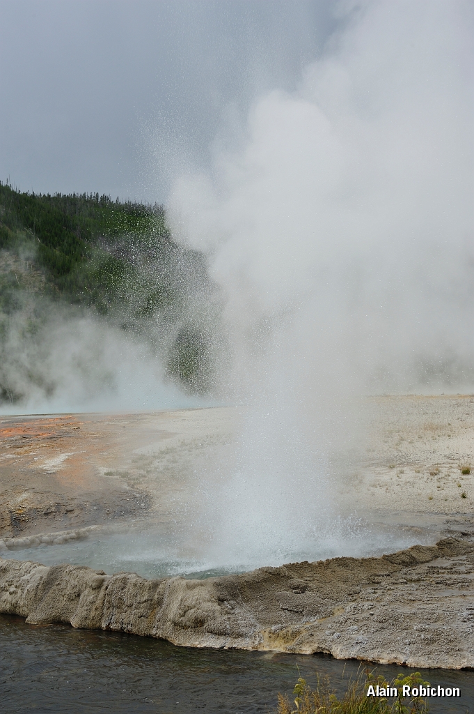 _DSC8209.jpg