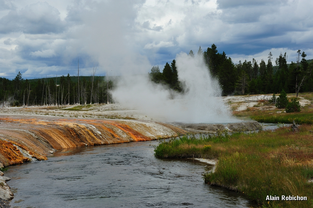 _DSC8216.jpg