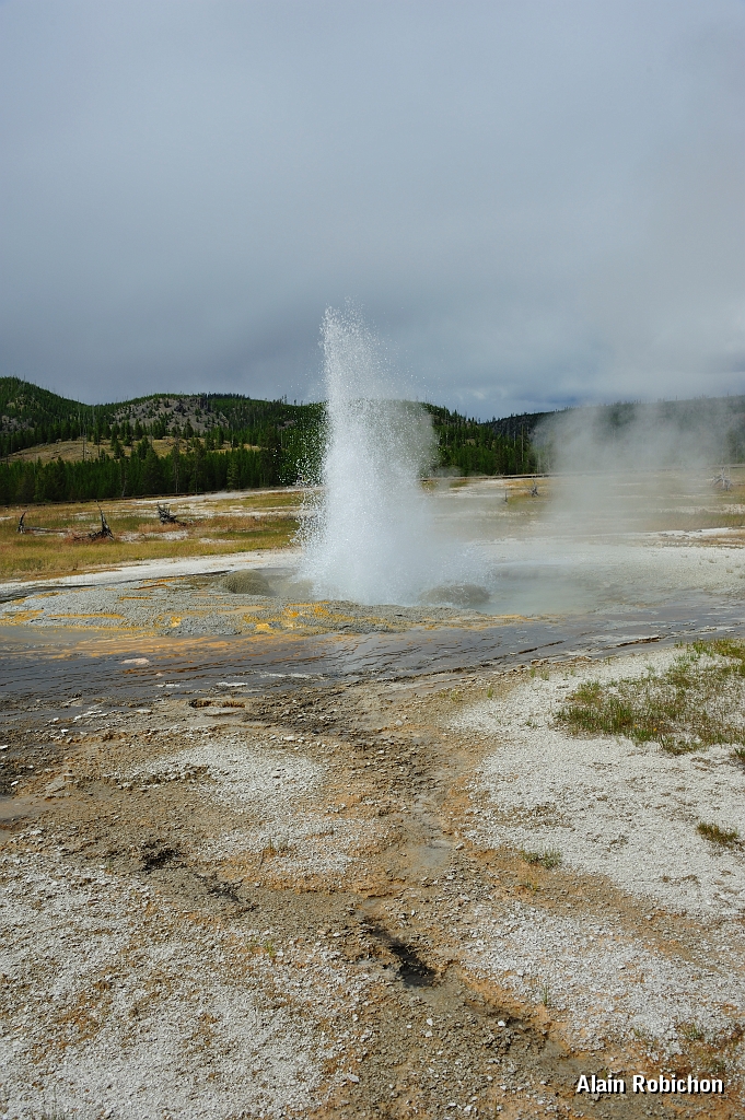 _DSC8237.jpg