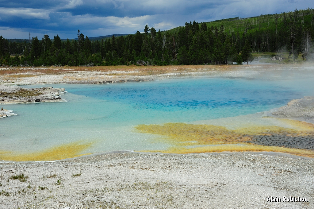 _DSC8239.jpg