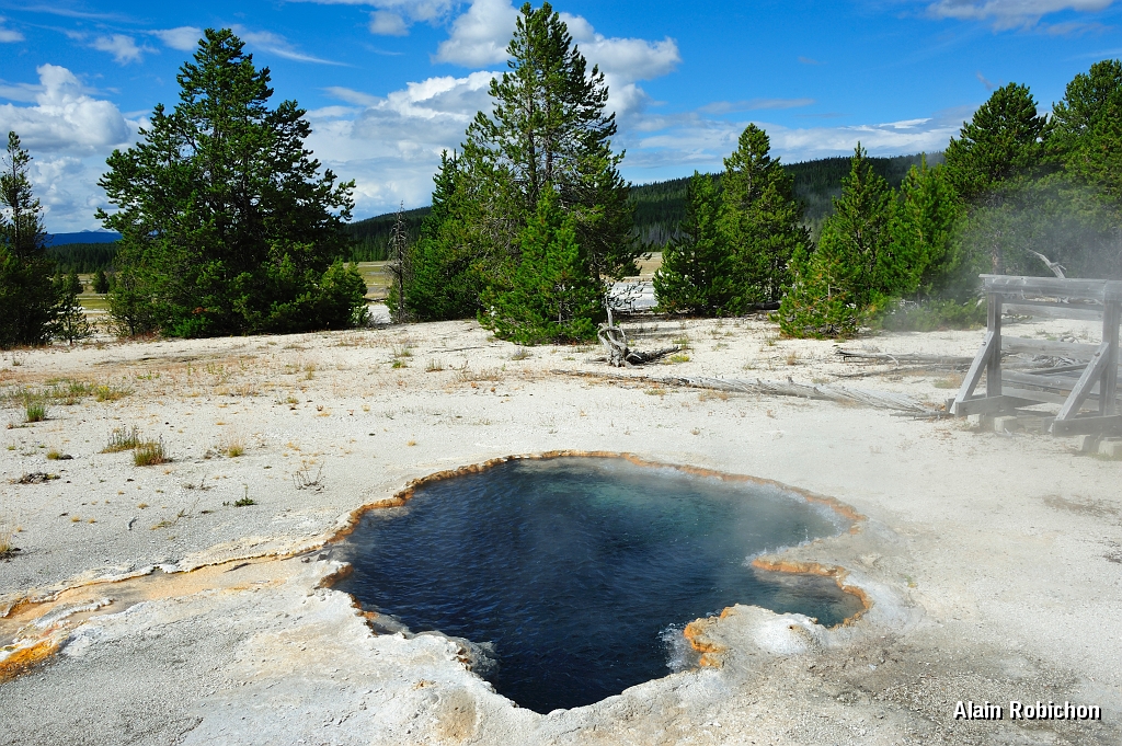 _DSC8258.jpg