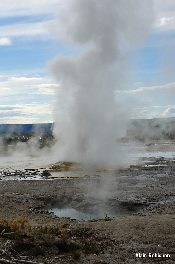 _DSC8271.jpg