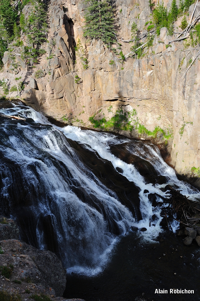 _DSC8280.jpg