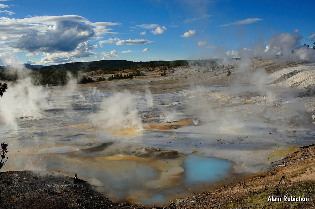 _DSC8289.jpg