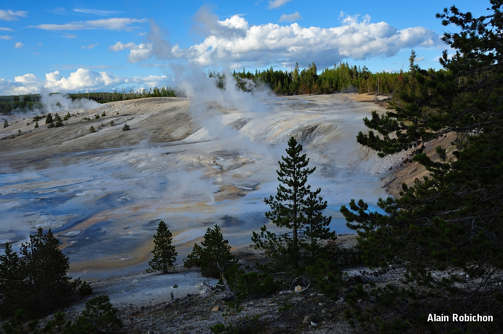 _DSC8294.jpg