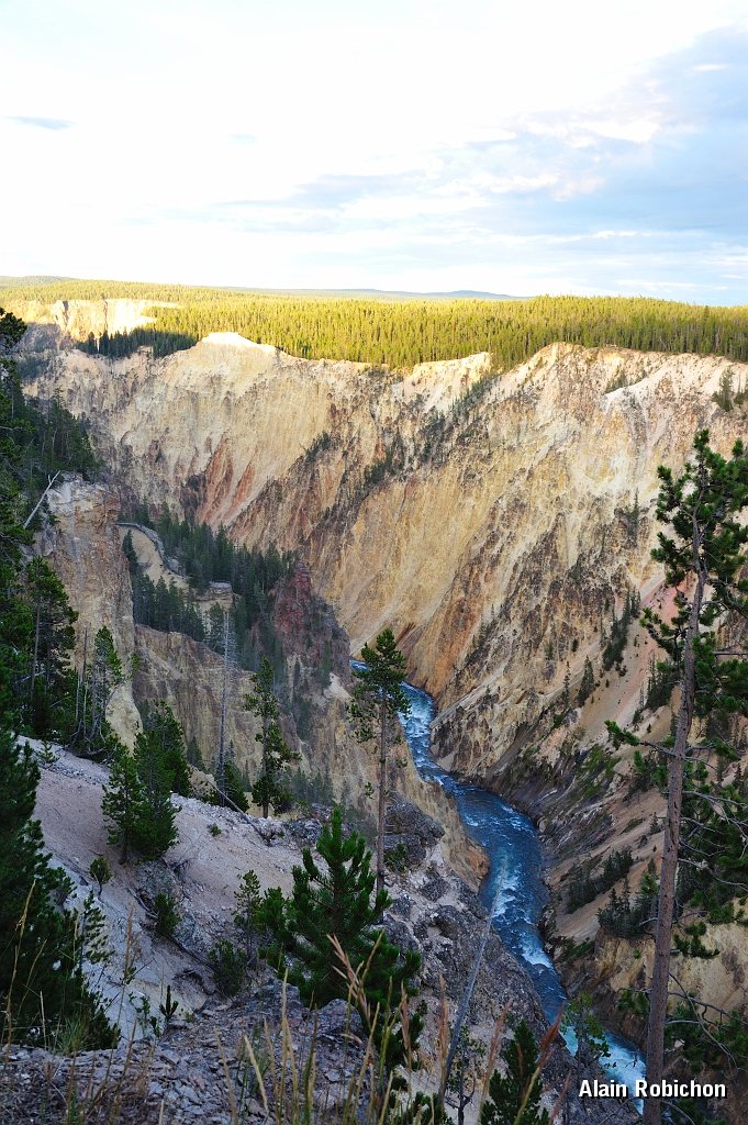 _DSC8298.jpg