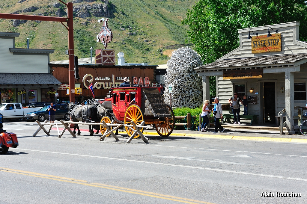 _DSC8338.jpg