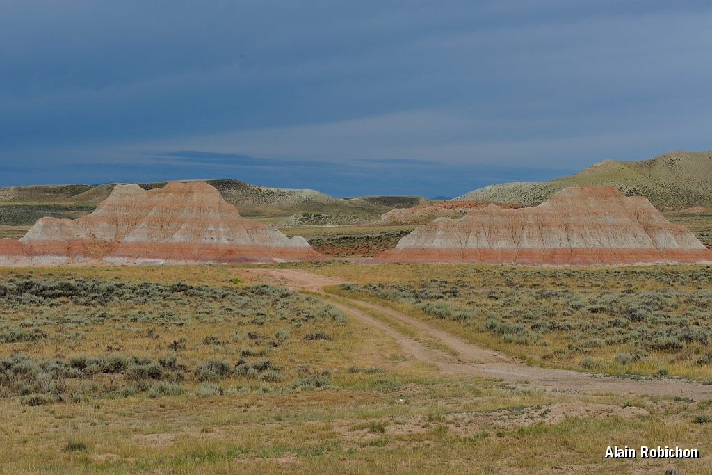 _DSC8344.jpg