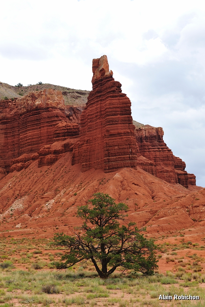 _DSC8372.jpg