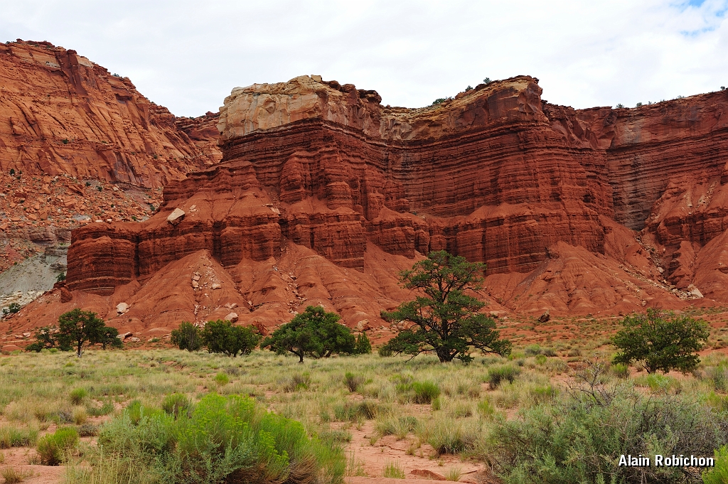 _DSC8375.jpg