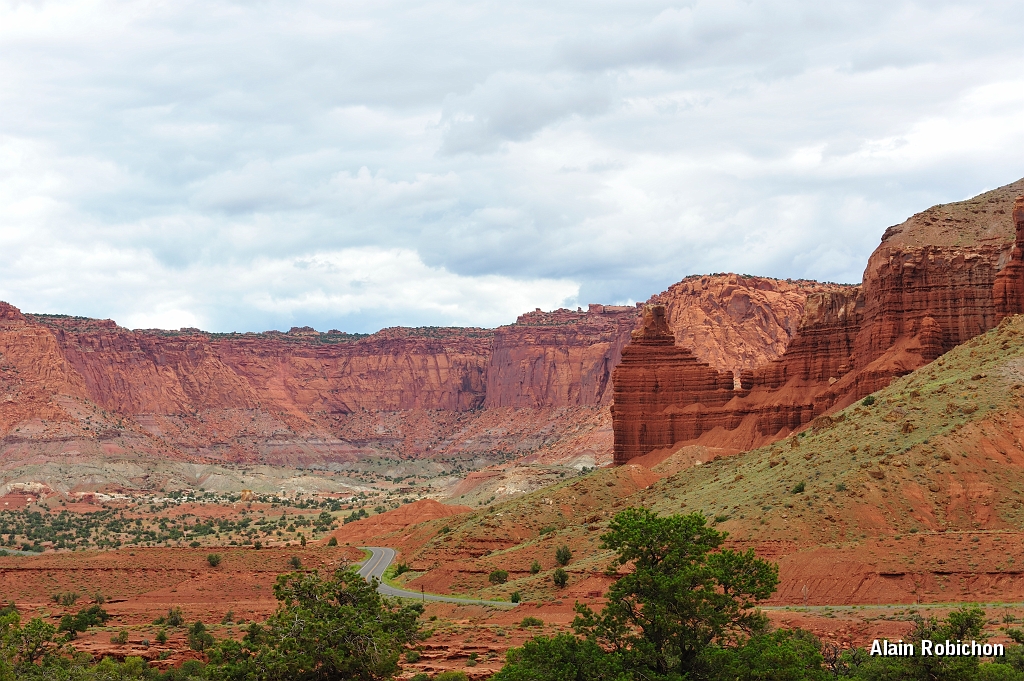 _DSC8377.jpg