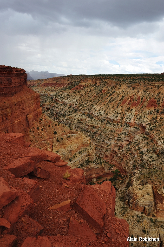 _DSC8382.jpg