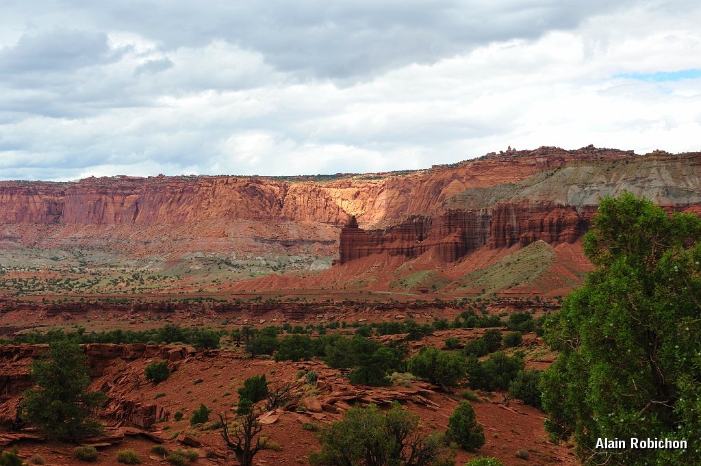 _DSC8384.jpg