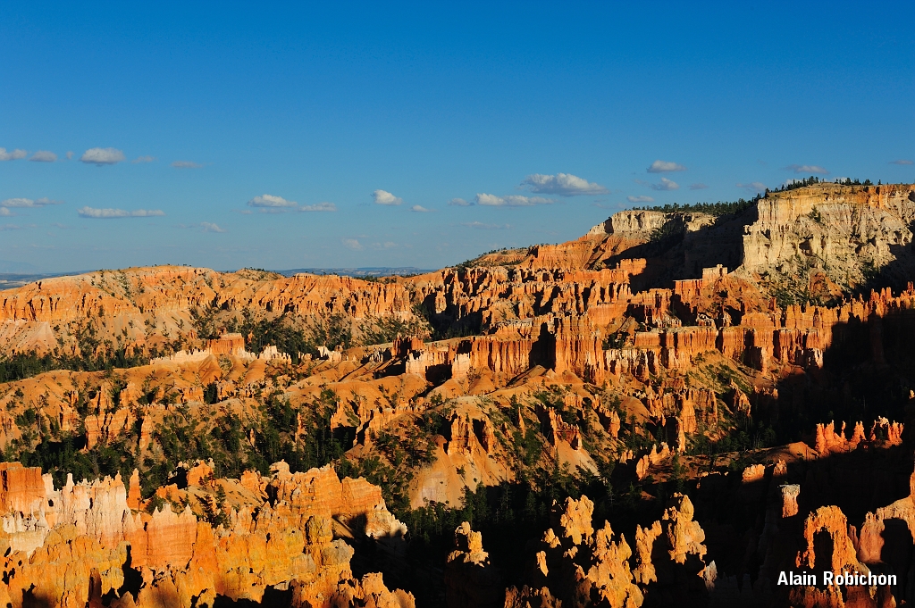 _DSC8397.jpg