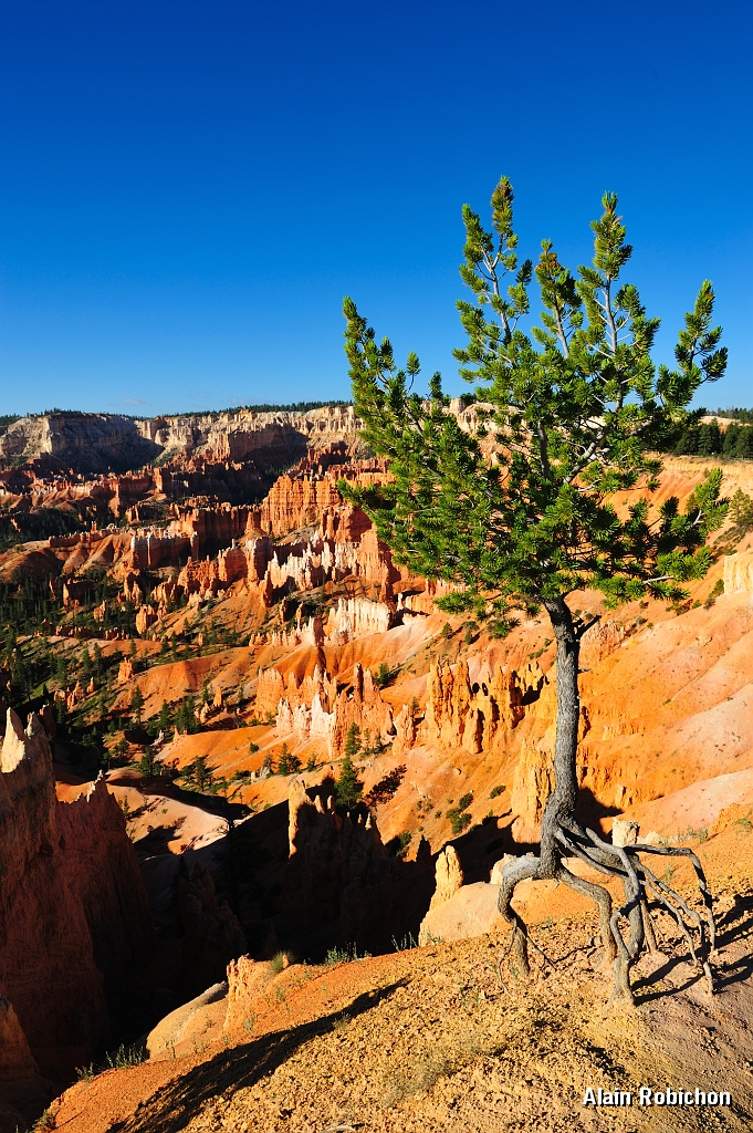 _DSC8443.jpg