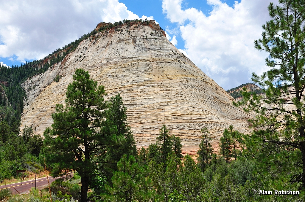 _DSC8469.jpg