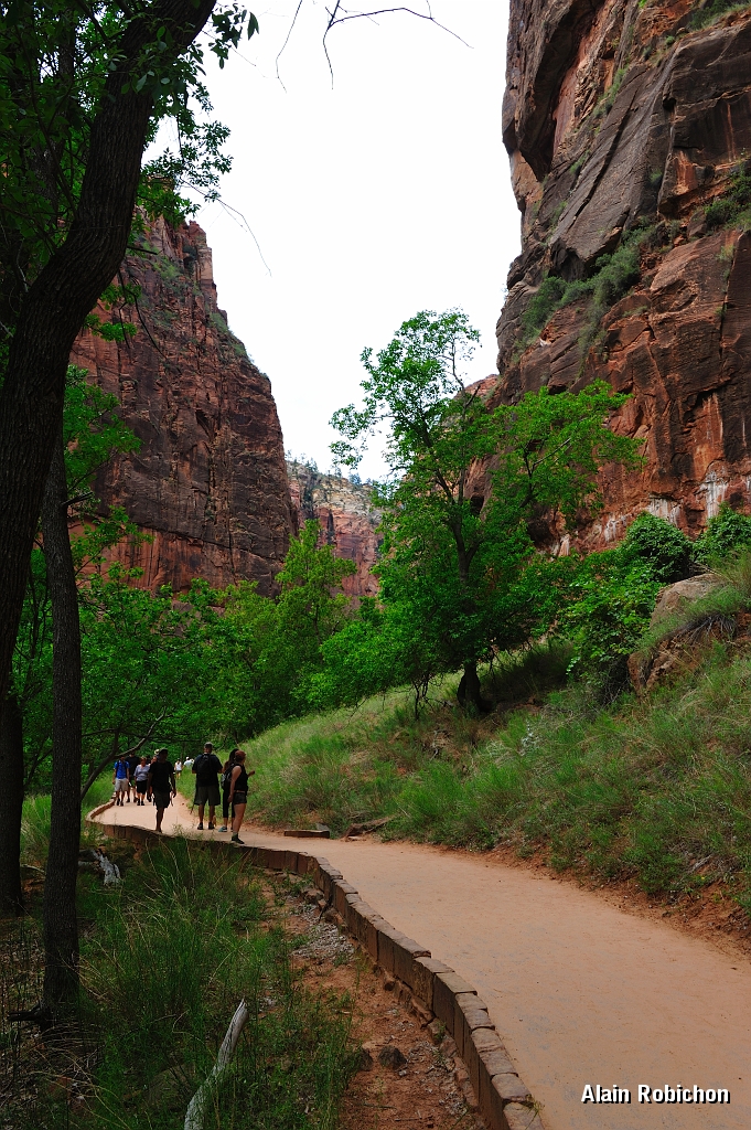 _DSC8480.jpg
