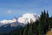 _DSC7590