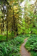 _DSC7633