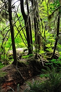 _DSC7634