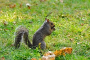 _DSC7680