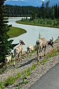 _DSC7751