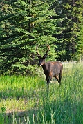 _DSC7850