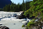 _DSC7858