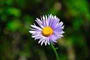_DSC7934
