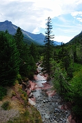 _DSC7965