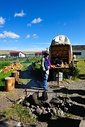 _DSC8066
