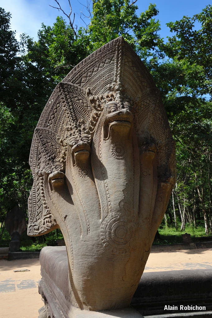 115.JPG