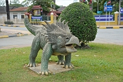 243