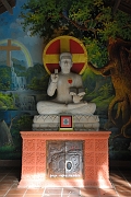 81