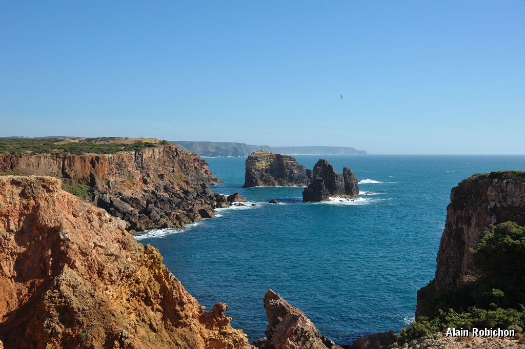 _DSC0819.JPG