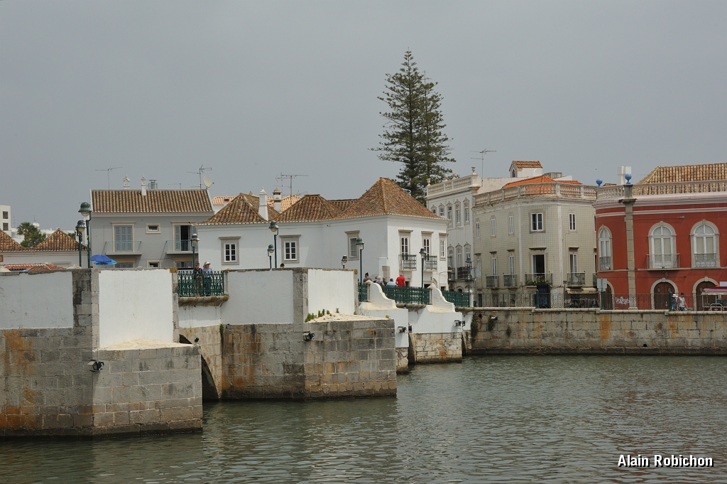 _DSC0826.JPG