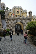 _DSC0495