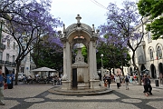 _DSC0552