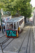 _DSC0564