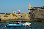 _DSC0789