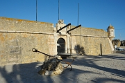 _DSC0790