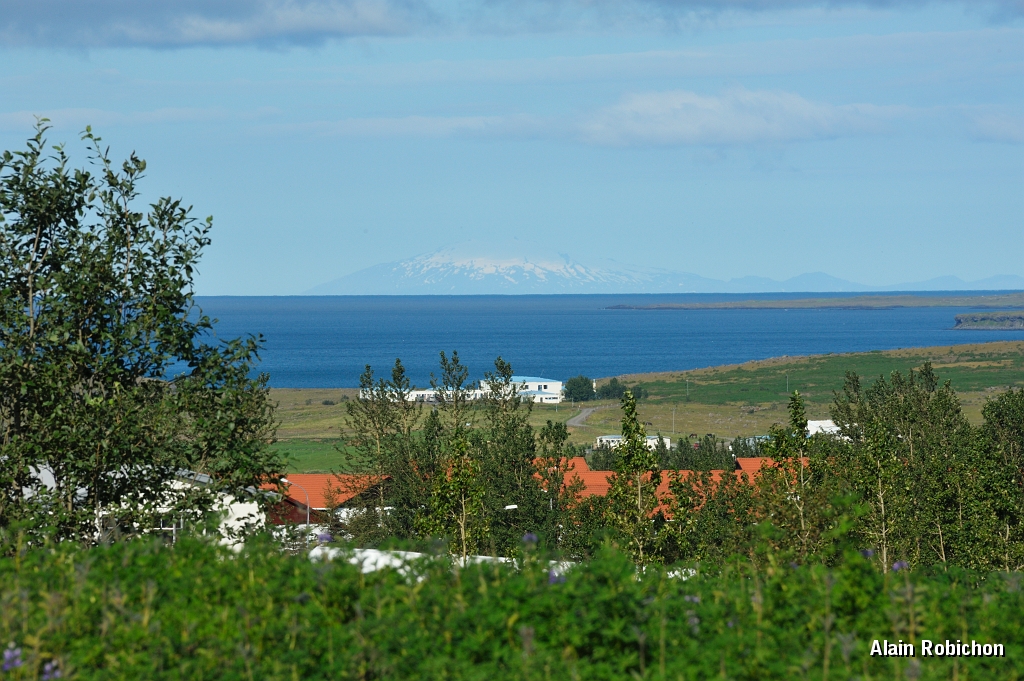 _DSC1636.JPG