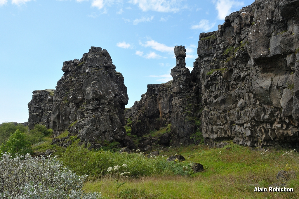 _DSC1648.JPG