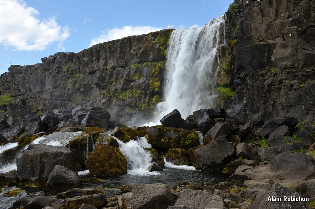 _DSC1652.JPG