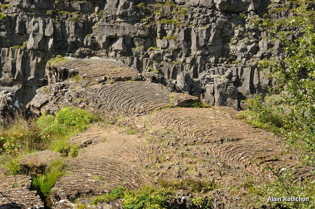 _DSC1668.JPG
