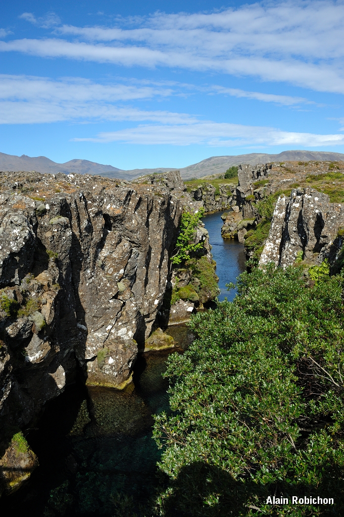 _DSC1679.JPG